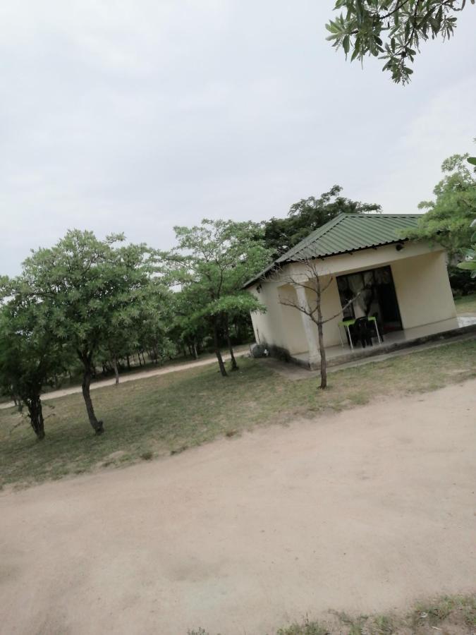 Acornhoek Moholoholo Lodge מראה חיצוני תמונה