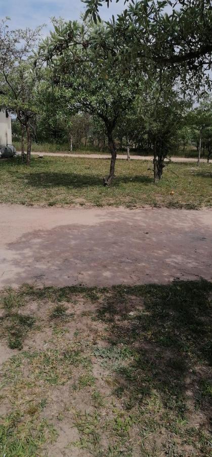 Acornhoek Moholoholo Lodge מראה חיצוני תמונה